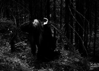 mental_forest.jpg